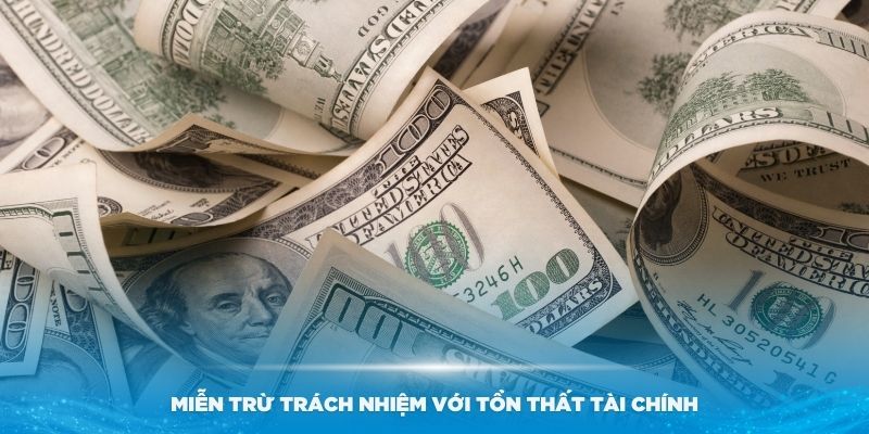 Miễn trừ trách nhiệm với các tổn thất tài chính